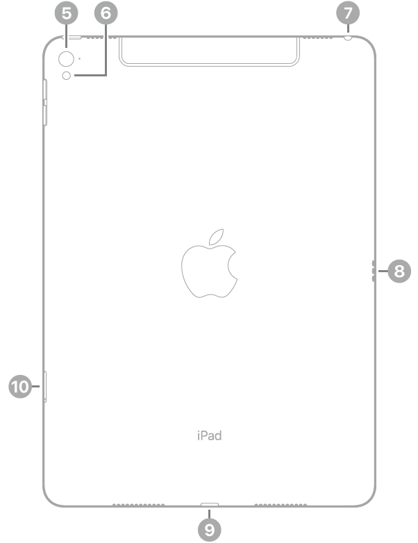 Задняя сторона iPad Pro. Начиная с левого верхнего угла, по часовой стрелке расположены выноски: задняя камера, вспышка, разъем для наушников, разъем Smart Connector, разъем Lightning и отсек для SIM-карты (Wi-Fi + Cellular).