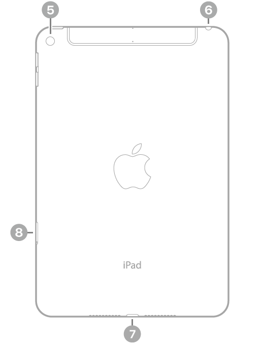 Die Rückansicht des iPad mini mit Hinweisen auf die rückwärtige Kamera oben links, den Kopfhöreranschluss oben rechts, den Lightning Connector unten in der Mitte und das SIM-Fach (Wi-Fi + Cellular) unten links.
