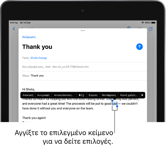 Ένα δείγμα μηνύματος email με επιλεγμένο ένα τμήμα του κειμένου. Πάνω από την επιλογή βρίσκονται τα κουμπιά «Αποκοπή», «Αντιγραφή», «Επικόλληση» και «Αντικατάσταση» και άλλες εντολές. Το επιλεγμένο κείμενο επισημαίνεται και εμφανίζονται λαβές σε κάθε πλευρά.
