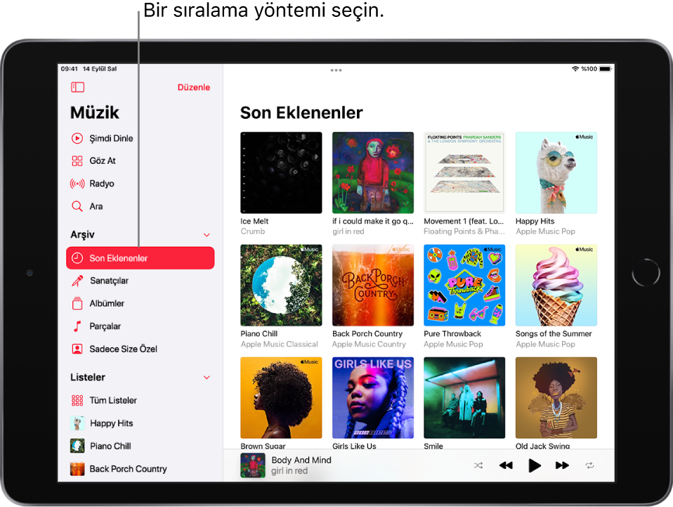 Arşiv ekranında sol tarafta Son Eklenen sözcüklerinin vurgulandığı kenar çubuğu gösteriliyor. Son eklenen albümler sağda görünüyor. Müzik çalar sağ alttadır.