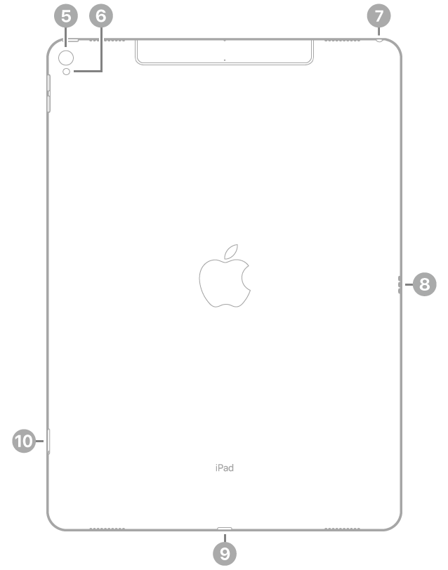 iPad Pro 背面的說明文字表示左上角的後置相機和閃光燈,右上角有耳機插孔,右側有聰穎接點,底部中央有 Lightning 連接器,左下角是 SIM 卡托盤(Wi-Fi + 行動網路)。