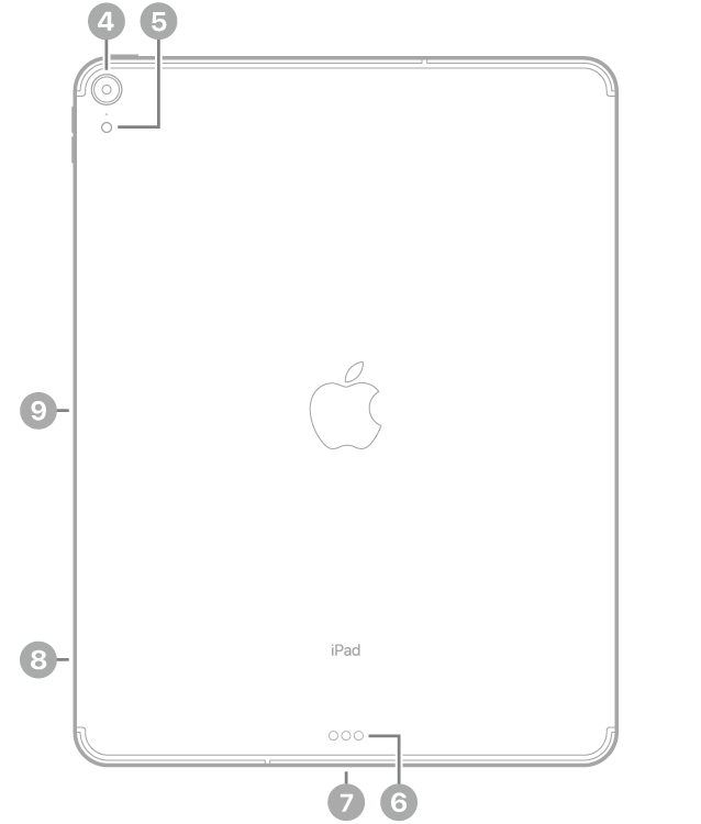 Vista posterior del iPad Pro con textos sobre la cámara trasera y el flash en la parte superior izquierda, el Smart Connector y el conector USB-C en la parte inferior central, la bandeja de la tarjeta SIM (Wi-Fi + Cellular) abajo a la izquierda y el conector magnético para el Apple Pencil a la izquierda.