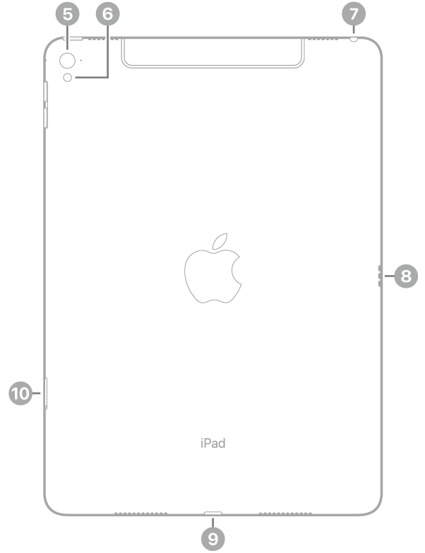 La vue de dos de l’iPad Pro, avec des légendes liées à l’appareil photo arrière et au flash en haut à gauche, à la prise casque en haut à droite, au Smart Connector à droite, au connecteur Lightning en bas au centre, ainsi qu’au support pour carte SIM (Wi-Fi + Cellular) en bas à gauche.