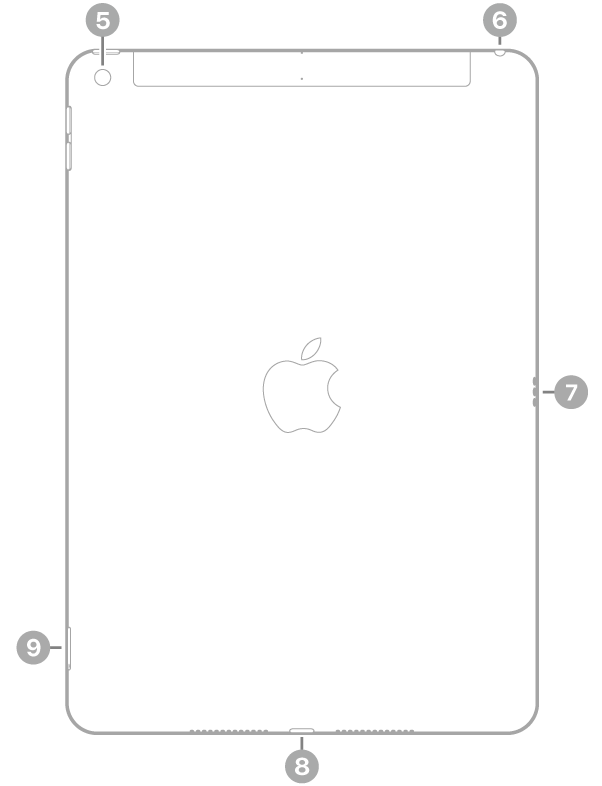 La vue de dos de l’iPad, avec des légendes liées à l’appareil photo arrière en haut à gauche, à la prise casque en haut à droite, au Smart Connector à droite, au connecteur Lightning en bas au centre, ainsi qu’au support pour carte SIM (Wi-Fi + Cellular) en bas à gauche.