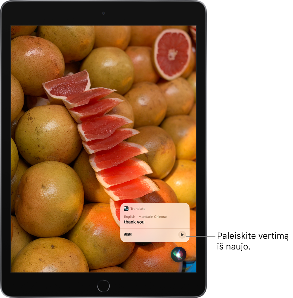 „Siri“ rodo angliškos frazės „thank you“ (ačiū) vertimą į mandarinų kalbą. Į dešinę nuo vertimo esantis mygtukas pakartoja garsinį vertimą.