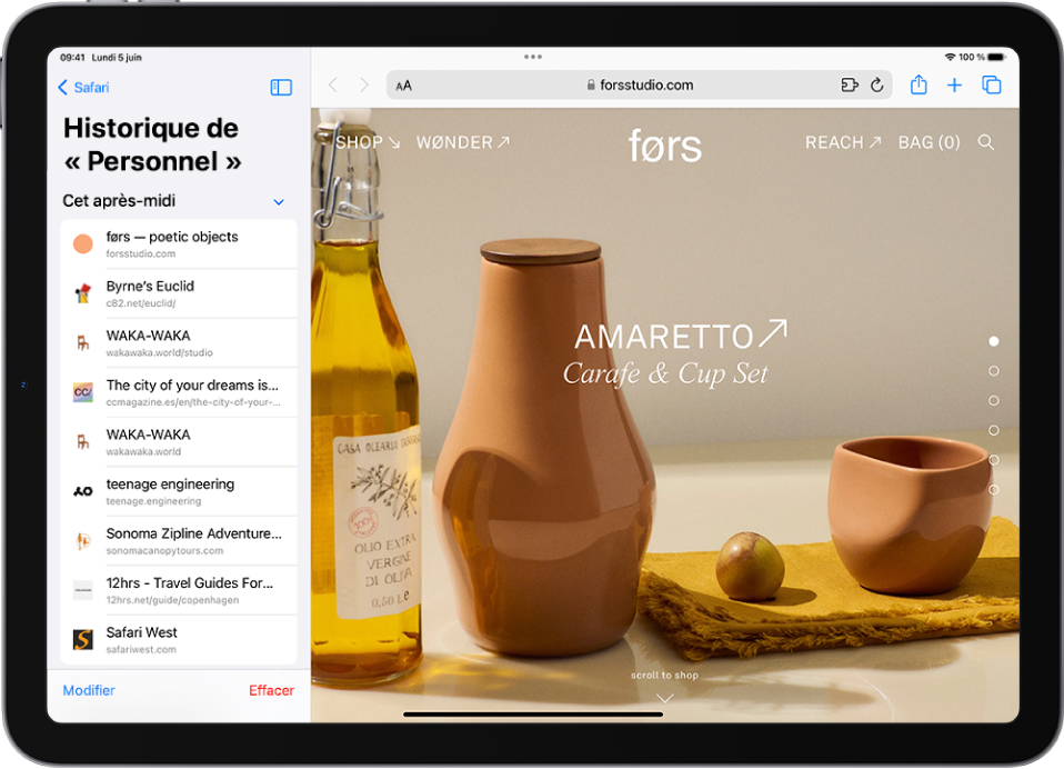 Une page web ouverte. L’historique de navigation de Safari est ouvert à gauche de l’écran, ce qui affiche une liste des sites web consultés récemment, au-dessus du bouton Effacer.