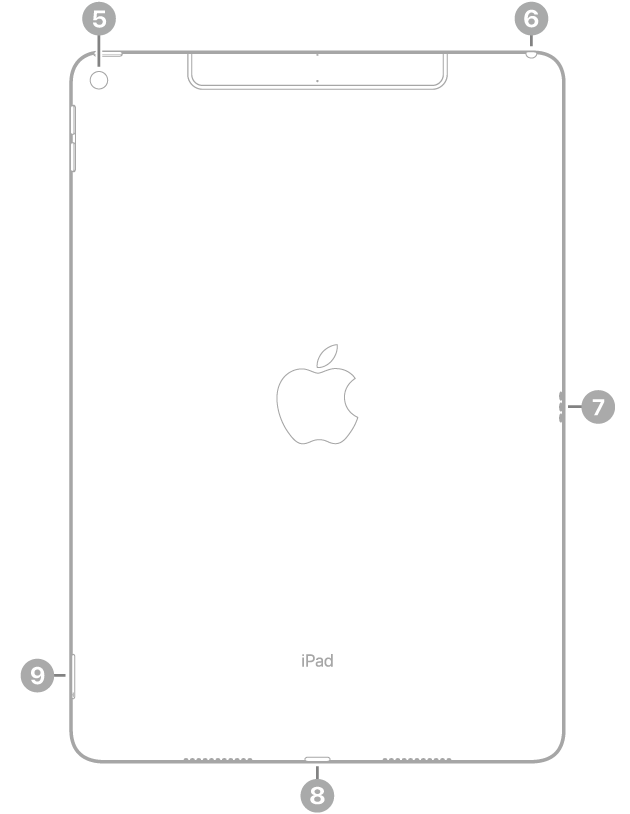 Die Rückansicht des iPad Air mit Hinweisen auf die rückseitige Kamera oben links, den Kopfhöreranschluss oben rechts, den Smart Connector auf der rechten Seite, den Lightning Connector unten in der Mitte und das SIM-Fach (Wi-Fi + Cellular) unten links.