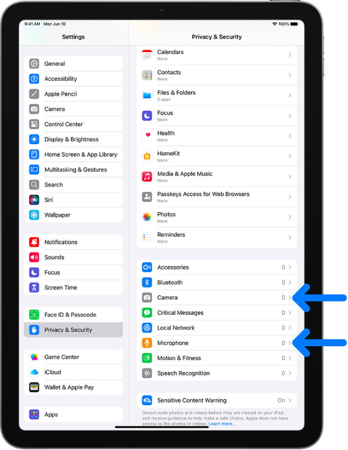 The Privacy & Security screen, with settings to control whether apps can use the camera, microphone, and other parts of your iPad.