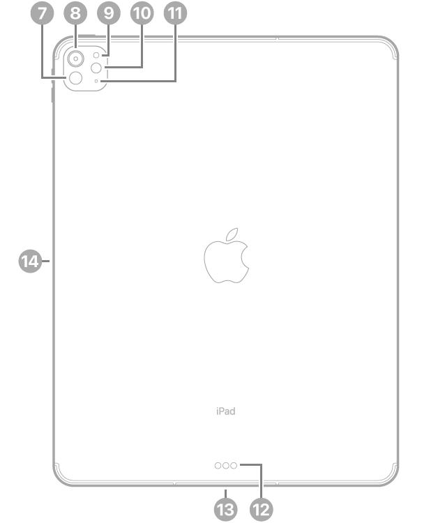 LiDAR साठी कॉलआउटसह iPad Pro 13-इंच (M4) चा बॅक व्ह्यू, रिअर कॅमेरा, रिअर ॲम्बियंट लाइट सेन्सर, फ्लॅश, आणि वरच्या डाव्या बाजूला मायक्रोफोन, तळाशी मध्यभागी Smart Connector आणि USB-C कनेक्टर आणि डावीकडे Apple Pencil साठी चुंबकीय कनेक्टर.