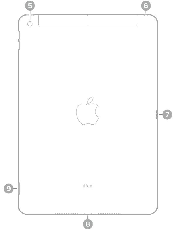 iPad کے پیچھے کا منظر جس میں اوپر بائیں پیچھے کے کیمرے کے لیے کال آؤٹ، اوپر دائیں جانب ہیڈ فون جیک، دائیں Smart Connector، نیچے مرکز میں Lightning کنکٹر اور نیچے بائیں SIM ٹرے (Wi-Fi + Cellular) ہے۔