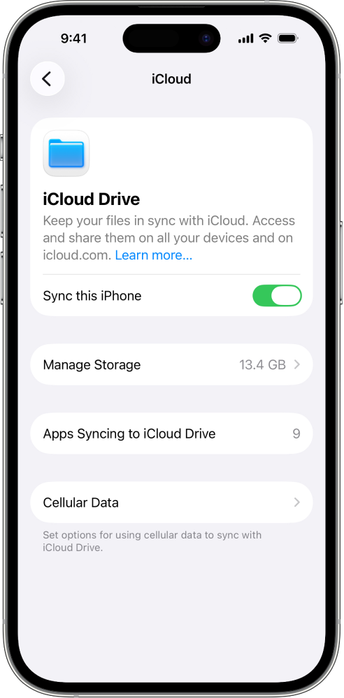Obrazovka iCloud Drive v nastaveních iCloudu. Volba Synchronizovat tento iPhone je zapnutá.