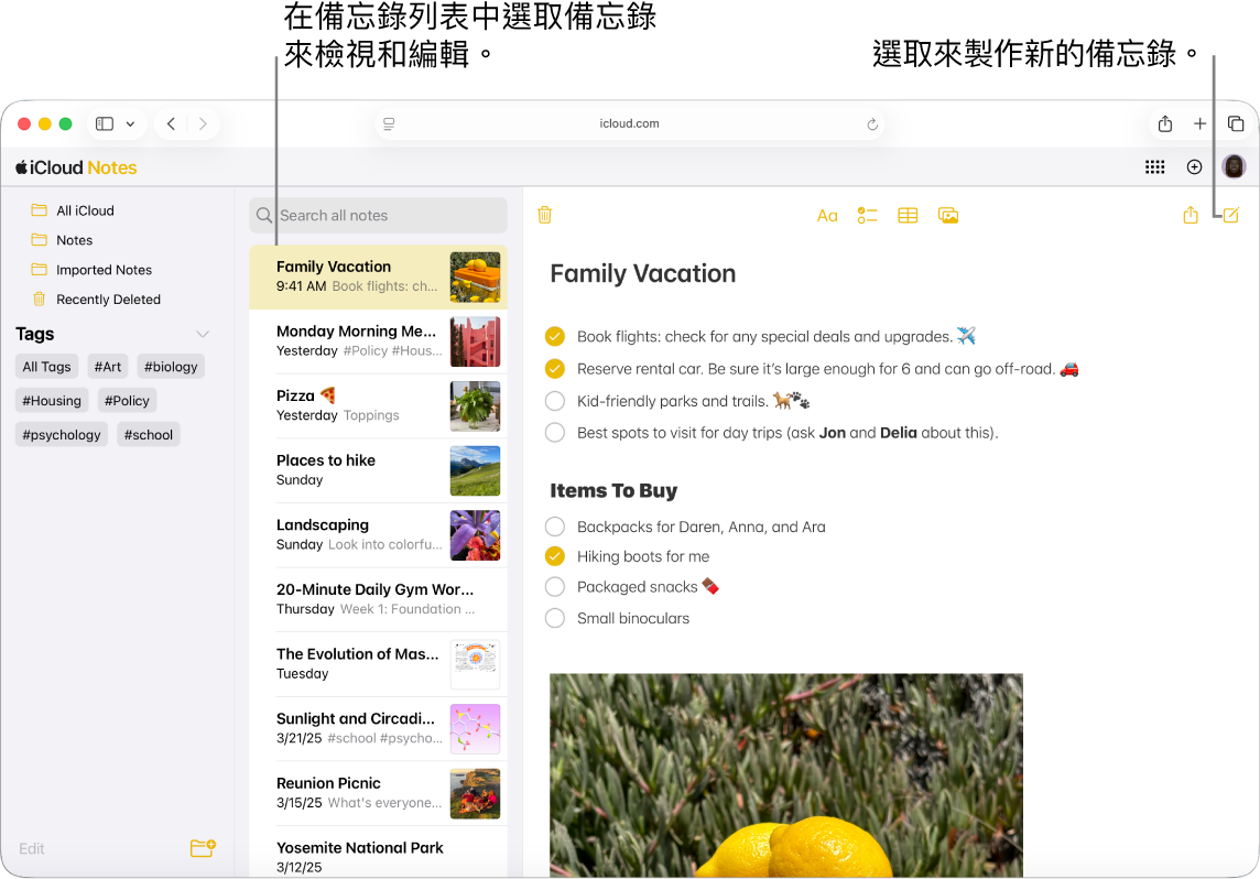 iCloud.com 上開啟的備忘錄列表,側邊欄中顯示多個備忘錄,而開啟的備忘錄會在側邊欄右側顯示。