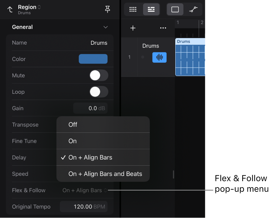 Figure. Region inspector showing the Flex & Follow pop-up menu.