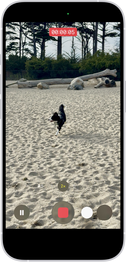 Le cadre de la caméra remplit l’écran. En bas de l’écran, l’utilisateur déplace le bouton de l’obturateur vers la droite, illustrant le mouvement d’enregistrement sans les mains.