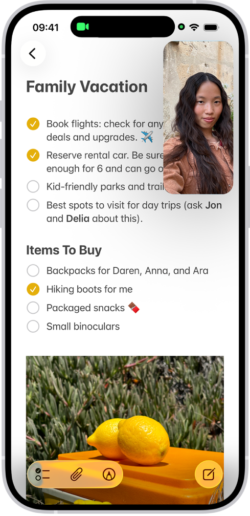 Một cuộc hội thoại FaceTime đang diễn ra trong khi một ghi chú về trang trí phòng bếp phủ kín phần còn lại của màn hình.