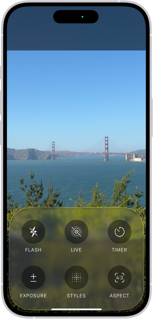 開啟「相機」並進入「影相」模式。螢幕底部的按鈕是下列相機控制項目的控鈕:「閃光燈」、「原況」、「計時器」、「曝光」、「風格」和「比例」。