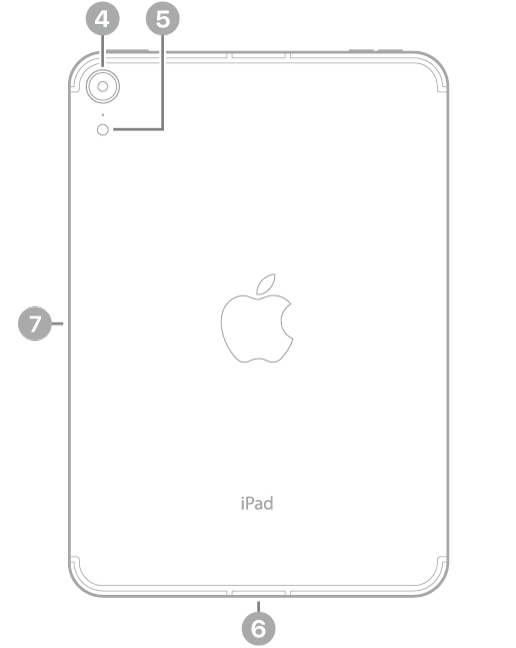 The back view of iPad mini with callouts to the rear camera and flash at the top left, the USB-C connector at the bottom center, and the magnetic connector for Apple Pencil on the left.