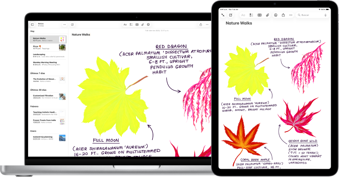 iPad mostrando un dibujo junto a una Mac en la que el mismo dibujo aparece en una nota.
