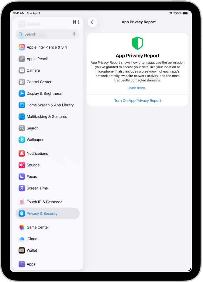 La pantalla “Informe de privacidad de las apps”, donde puedes activar un informe que muestra muestre con qué frecuencia las apps usan los permisos que les has concedido, además de su actividad en la red.