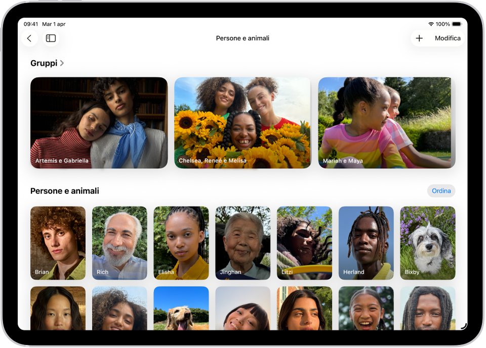 La raccolta “Persone e animali” è aperta nell’app Foto. In alto, sullo schermo, sono presenti i gruppi, quindi sono visibili le persone e gli animali.