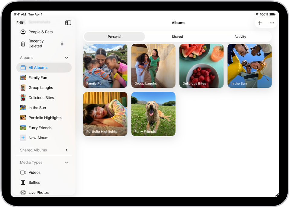 ಫೋಟೋಸ್ ಆ್ಯಪ್, ಆಲ್ಬಮ್ಗಳಿಗೆ ತೆರೆದಿದೆ. ವೈಯಕ್ತಿಕ ಎಂಬುದನ್ನು ಆಯ್ಕೆಮಾಡಲಾಗಿದೆ. iPad ಸ್ಕ್ರೀನ್ನ ಉಳಿದ ಭಾಗವು ಗ್ರಿಡ್ನಲ್ಲಿರುವ ಆಲ್ಬಮ್ಗಳಿಗೆ ಥಂಬ್ನೇಲ್ಗಳನ್ನು ತೋರಿಸುತ್ತದೆ.