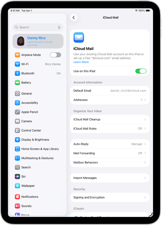 iCloud Mail സ്ക്രീനിലേക്ക് തുറക്കുന്ന ക്രമീകരണം ആപ്പ്. കസ്റ്റം ഇ-മെയിൽ ഡൊമെയിൻ മെനുവിന്റെ ഏറ്റവും താഴെയാണ്.