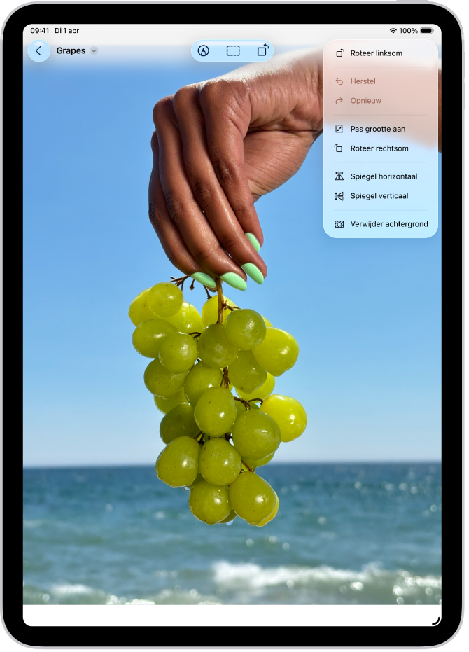 De Voorvertoning-app waarin een foto te zien is. Op de voorgrond is een hand die een druiventros vasthoudt te zien. Op de achtergrond zijn de lucht en de oceaan te zien.
