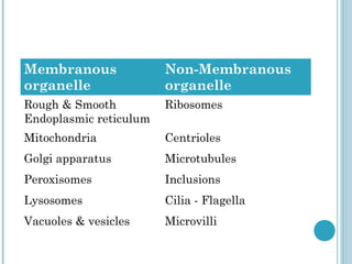 Membranous
organelle

Non-Membranous
organelle

Rough & Smooth
Endoplasmic reticulum

Ribosomes

Mitochondria

Centrioles

Golgi apparatus

Microtubules

Peroxisomes

Inclusions

Lysosomes

Cilia - Flagella

Vacuoles & vesicles

Microvilli

 