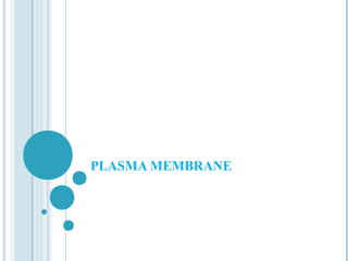 PLASMA MEMBRANE

 