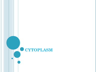 CYTOPLASM

 