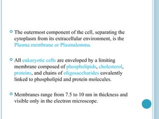 

The outermost component of the cell, separating the
cytoplasm from its extracellular environment, is the
Plasma membrane or Plasmalemma.



All eukaryotic cells are enveloped by a limiting
membrane composed of phospholipids, cholesterol,
proteins, and chains of oligosaccharides covalently
linked to phospholipid and protein molecules.



Membranes range from 7.5 to 10 nm in thickness and
visible only in the electron microscope.

 