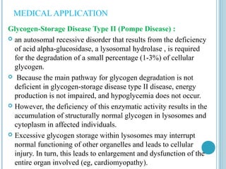 MEDICAL APPLICATION
Glycogen-Storage Disease Type II (Pompe Disease) :
 an autosomal recessive disorder that results from the deficiency
of acid alpha-glucosidase, a lysosomal hydrolase , is required
for the degradation of a small percentage (1-3%) of cellular
glycogen.
 Because the main pathway for glycogen degradation is not
deficient in glycogen-storage disease type II disease, energy
production is not impaired, and hypoglycemia does not occur.
 However, the deficiency of this enzymatic activity results in the
accumulation of structurally normal glycogen in lysosomes and
cytoplasm in affected individuals.
 Excessive glycogen storage within lysosomes may interrupt
normal functioning of other organelles and leads to cellular
injury. In turn, this leads to enlargement and dysfunction of the
entire organ involved (eg, cardiomyopathy).

 