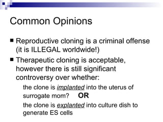 Common Opinions Reproductive cloning is a criminal offense (it is ILLEGAL worldwide!) Therapeutic cloning is acceptable, however there is still significant controversy over whether: the clone is  implanted  into the uterus of surrogate mom?  OR the clone is  explanted  into culture dish to generate ES cells 