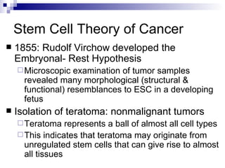 Stem Cell Theory of Cancer 1855: Rudolf Virchow developed the Embryonal- Rest Hypothesis Microscopic examination of tumor samples revealed many morphological (structural & functional) resemblances to ESC in a developing fetus Isolation of teratoma: nonmalignant tumors Teratoma represents a ball of almost all cell types This indicates that teratoma may originate from unregulated stem cells that can give rise to almost all tissues 