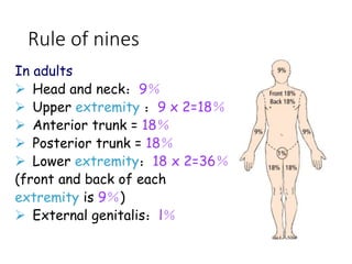 Rule of nines
In adults
 Head and neck：9％
 Upper extremity ：9 x 2=18％
 Anterior trunk = 18％
 Posterior trunk = 18％
 Lower extremity：18 x 2=36％
(front and back of each
extremity is 9％)
 External genitalis：l％
 