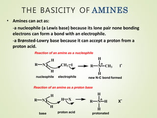 • Amines can act as:
-a nucleophile (a Lewis base) because its lone pair none bonding
electrons can form a bond with an electrophile.
-a Brønsted-Lowry base because it can accept a proton from a
proton acid.
Reaction of an amine as a nucleophile
R N
H
CH3 I
H
nucleophile
R
H
N CH3
H
I-
electrophile new N-C bond formed
Reaction of an amine as a proton base
NR
H
H
H X R
H
N H
H
X-
base proton acid protonated
THE BASICITY OF AMINES
 