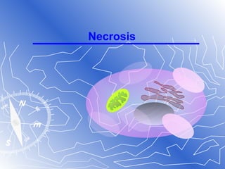 Necrosis
 