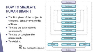 HOW TO SIMULATE
HUMAN BRAIN ?
 The first phase of the project is
to build a cellular-level model
of Brain.
 To make the each neurons
(processors).
 To make or complete the
microcircuit.
 To model it.
Fig.
The data manipulation cascade
 