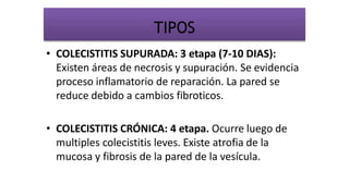 • COLECISTITIS SUPURADA: 3 etapa (7-10 DIAS):
Existen áreas de necrosis y supuración. Se evidencia
proceso inflamatorio de reparación. La pared se
reduce debido a cambios fibroticos.
• COLECISTITIS CRÓNICA: 4 etapa. Ocurre luego de
multiples colecistitis leves. Existe atrofia de la
mucosa y fibrosis de la pared de la vesícula.
TIPOS
 