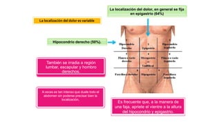 La localización del dolor, en general se fija
en epigastrio (64%)
Hipocondrio derecho (50%).
Es frecuente que, a la manera de
una faja, apriete el vientre a la altura
del hipocondrio y epigastrio.
La localización del dolor es variable
También se irradia a región
lumbar, escapular y hombro
derechos.
A veces es tan intenso que duele todo el
abdomen sin poderse precisar bien la
localización,
 