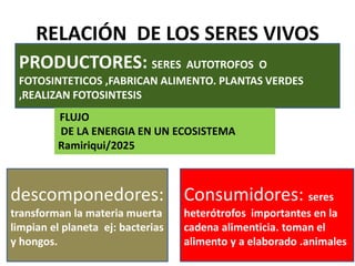 RELACIÓN DE LOS SERES VIVOS
descomponedores:
transforman la materia muerta
limpian el planeta ej: bacterias
y hongos.
Consumidores: seres
heterótrofos importantes en la
cadena alimenticia. toman el
alimento y a elaborado .animales
PRODUCTORES: SERES AUTOTROFOS O
FOTOSINTETICOS ,FABRICAN ALIMENTO. PLANTAS VERDES
,REALIZAN FOTOSINTESIS
FLUJO
DE LA ENERGIA EN UN ECOSISTEMA
Ramiriqui/2025