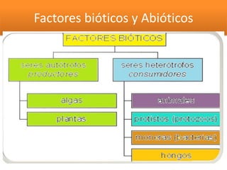 Factores bióticos y Abióticos
1