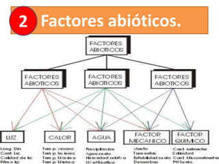 Factores abióticos.2