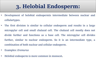 3. Helobial Endosperm:
• Development of helobial endospermis intermediate between nuclear and
cellulartypes.
• The first division is similar to cellular endosperm and results in a large
micropylar cell and small chalazal cell. The chalazal cell mostly does not
divide further and functions as a base cell. The micropylar cell divides
further, similar to nuclear endosperm. So it is an intermediate type, a
combination of both nuclear and cellular endosperm.
• Examples: Eremurus
• Helobial endosperm is more common in monocot.
 