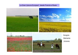 La Gran Llanura Europea”, desde Francia a Rusia
Hungría
Alemania
,Ucrania
 