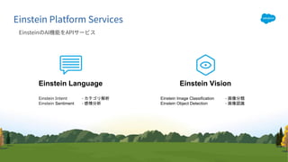 Einstein Language Einstein Vision
Einstein Intent -
Einstein Sentiment -
Einstein Image Classification -
Einstein Object Detection -
 