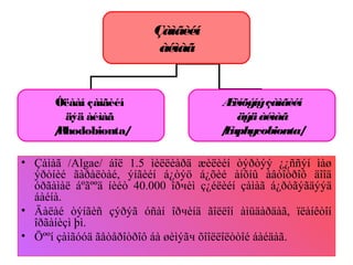 Çàìãèéí
àéìàã
Óëààí çàìãèéí
äýä àéìàã
/Rhodobionta/
Æèíõýíýçàìãèéí
äýäàéìàã
/Euphycobionta/
• Çàìàã /Algae/ áîë 1.5 ìèëëèàðä æèëèéí òýðòýý ¿¿ññýí ìàø
ýðòíèé ãàðàëòàé, ýíãèéí á¿òýö á¿õèé àíõíû àâòîòðîô äîîä
óðãàìàë áºãººä íèéò 40.000 îðчèì ç¿éëèéí çàìàã á¿ðòãýãäýýä
áàéíà.
• Äàëàé òýíãèñ çýðýã óñàí îðчèíä ãîëëîí àìüäàðäàã, ïëàíêòîí
îðãàíèçì þì.
• Öººí çàìãóóä ãåòåðîòðîô áà øèìýãч õîîëëîëòòîé áàéäàã.
 