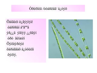 Òðèõîèä /óòàñëàã/ á¿òýö
Õàìãèéí ò¿ãýýìýë
òàðõñàí áºãººä
ýñ¿¿ä ýãíýý ¿¿ñãýí
óðò ãèíæèí
Õýëáýðòýé
õàðàãäàõ á¿òöèéã
õýëíý.
 