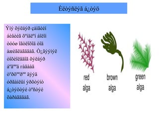 Èëòýñëýã á¿òýö
Ýíý õýëáýð çàìãèéí
áèåèéã õºíäëºí áîëîí
òóóø îãòëîõîä òîä
àæèãëàãääàã. Ò¿ãýýìýë
òîõèîëääîã õýëáýð
áºãººä гàäààä
òºðõººðºº äýýä
óðãàìëûí ýðõòýíò
á¿òýöòýé òºñòýé
õàðàãääàã.
 