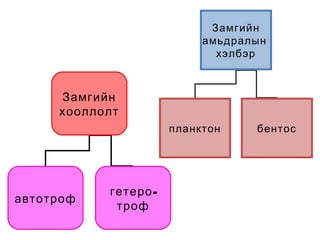 Замгийн
хооллолт
автотроф
-гетеро
троф
Замгийн
амьдралын
хэлбэр
планктон бентос
 